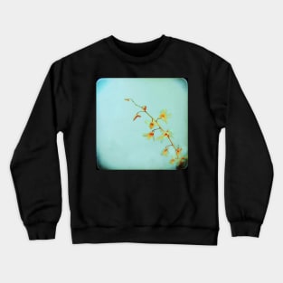 Baby Blue Crewneck Sweatshirt